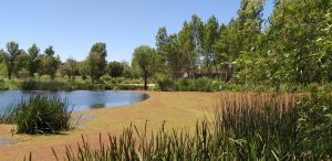 River and Lake Bank Filtration System